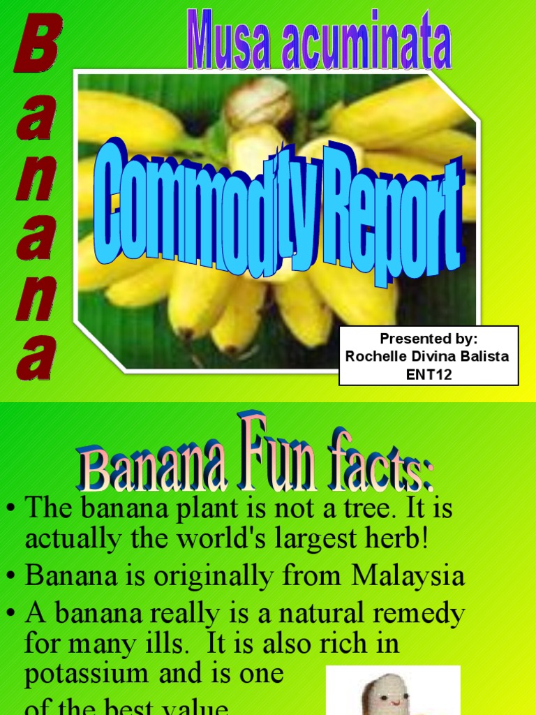 Saging Ging Ging Ging Ging PDF Banana Vitamin