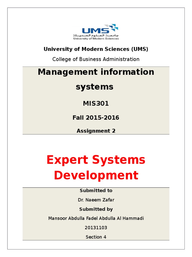 management information system assignment sample