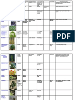Φυτά PDF