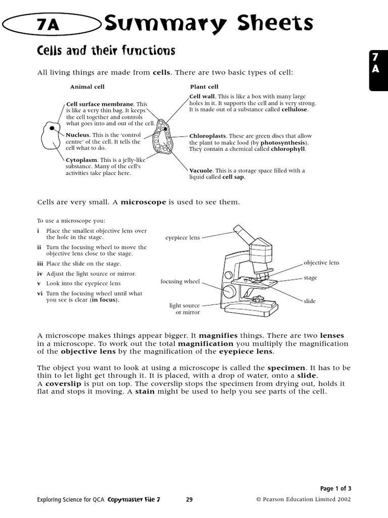 Pluginfile PDF | PDF | Home & Garden | Wellness