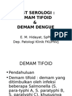 Test Widal & Dengue