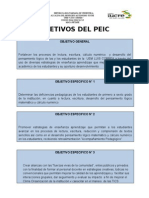 Objetivos Del PEIC