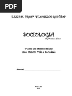 apostila de sociologia 1ano