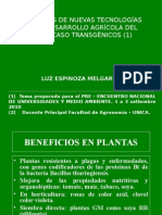 Caso Transgnicos: Peru