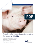 Guidelines For Taking Diagnostic Samples From Pigs: Oral Fluids