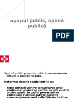 Spatiul Public, Opinia Publica