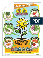 As!BC - Edible Plant Parts Poster