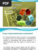 DESENVOLVIMENTO SUSTENTAVEL