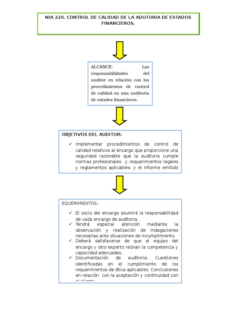 Mapa Conceptual NIA 220