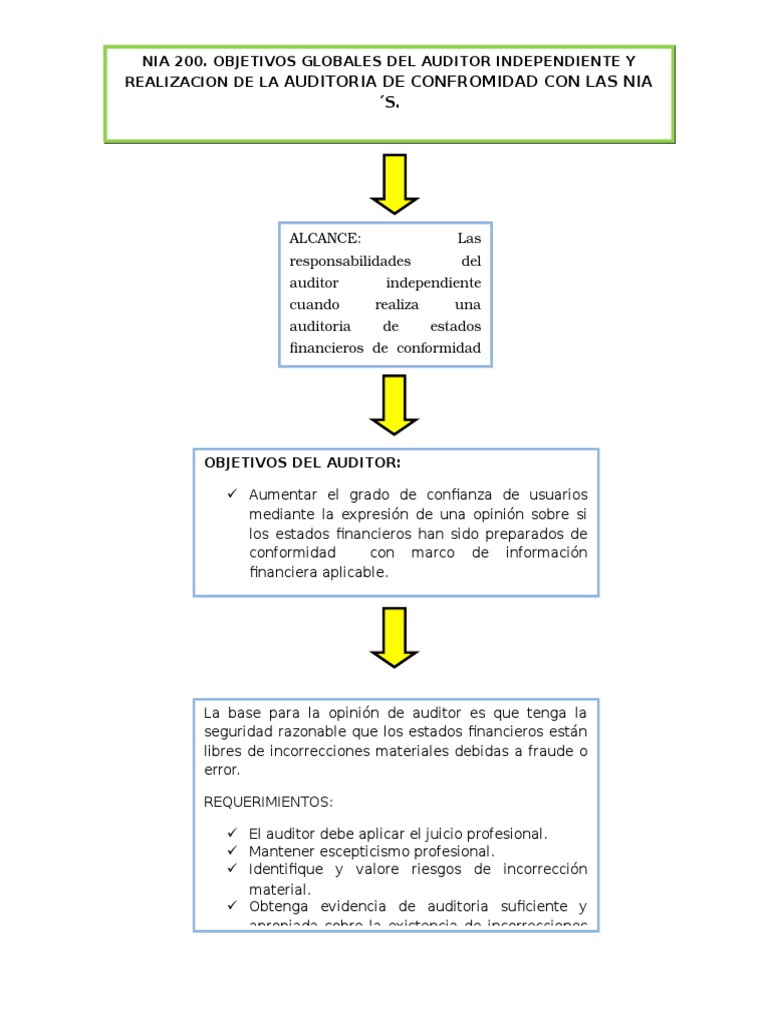 Mapa Conceptual NIA 200 PDF