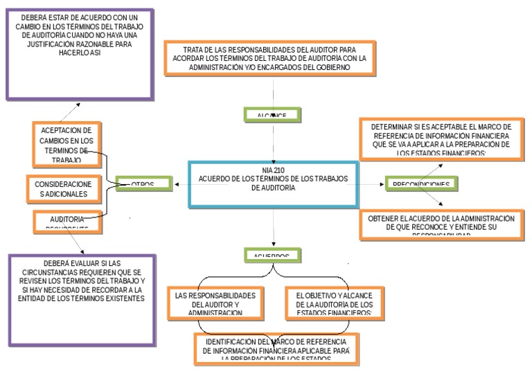 Mapa Conceptual Nia 210
