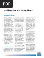 Lead Toxicity and Health Risks | PDF | Lead | Medical Specialties