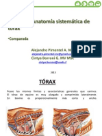 Comparada Torax