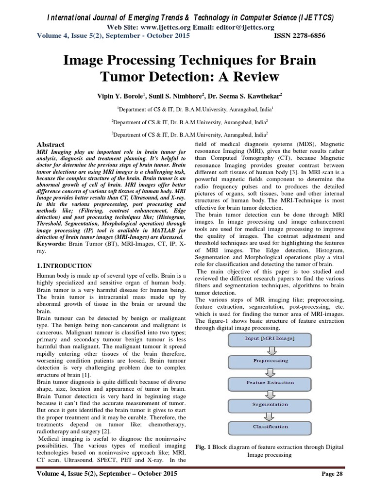 MRI Techniques for Brain Tumor Detection | PDF | Medical Imaging ...