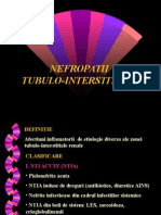 Nefropatii Tubulo Interstitiale