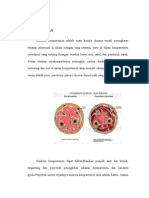 Referat Sindrom Kompartemen