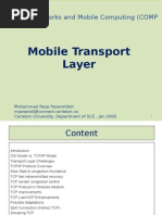 Download Mobile Transport Layer by Poli Markova SN289727127 doc pdf