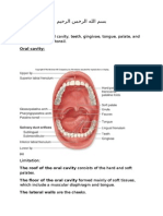 The Oral Region:: It Includes The Oral Cavity, Teeth, Gingivae, Tongue, Palate, and Region of Palatine Tonsil