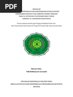 Download MAKALAH CKD SEMINAR LPLK by Yuli Rakhmayani Aryuanda SN289734492 doc pdf