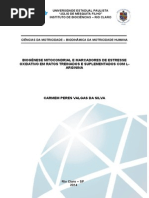 BIOGENESE MITOCONDRIAL