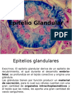 epitelio glandular.pptx