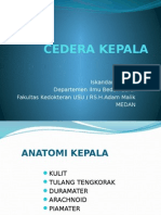 CEDERA KEPALA