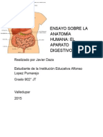 ENSAYO SOBRE LA ANATOMÍA HUMANA - Docs.odt