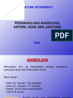 Angiologi Anatomi Vet II. FKH UNSYIAH