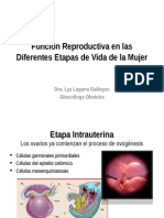 Ginecología - 07 - Función Reproductiva [Modificado]