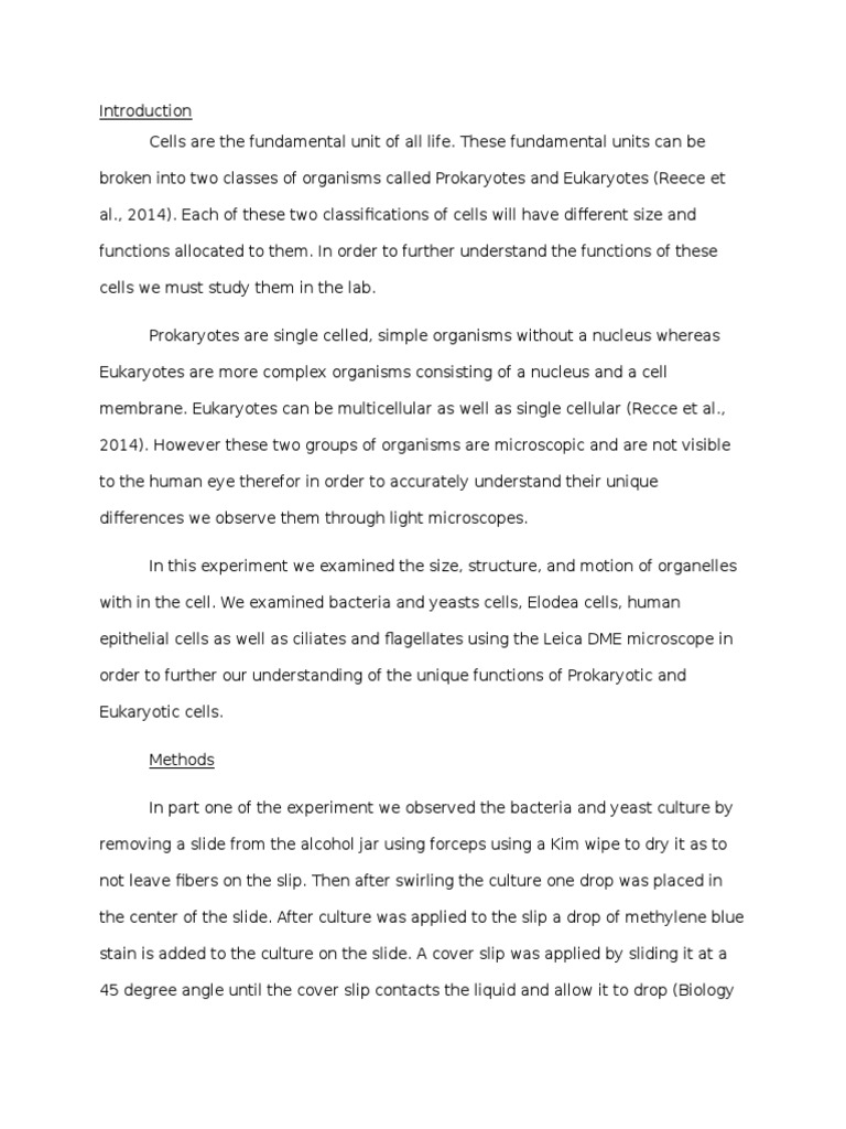 College lab report template image