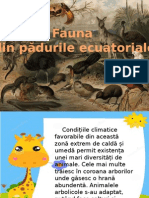 Fauna ecuatoriala.pptx