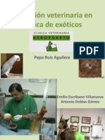 2. Actuacion Veterinaria en Animales Exoticos