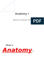 Anatomy L: Wajiha Nawabi MD