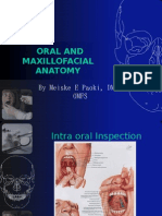 Oral and Maxillofacial Anatomy: by Meiske E Paoki, DMD, Omfs