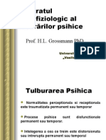 Substratul Neurofiziologic Al Tulb, Psihice