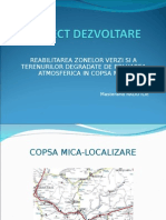 Proiect Dezvoltare Copsa Mica