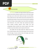 Download MORFOLOGI DAUN by Mika Febryati SN289896729 doc pdf