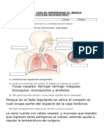 Guía 5° Sist. Respiratorio