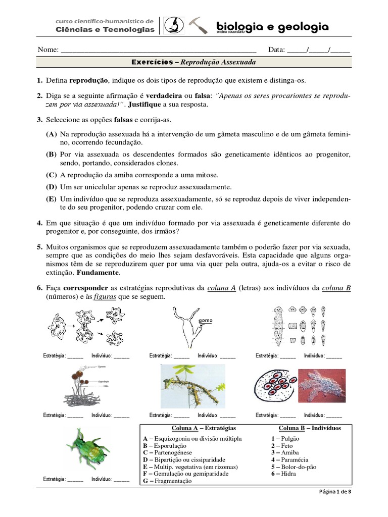Exercícios - Rep. Assexuada | Reprodução | Clonagem
