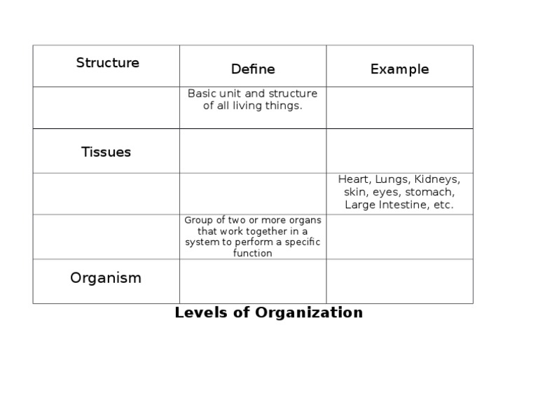 Levels of Biological Organization Explained | PDF | Self-Improvement ...