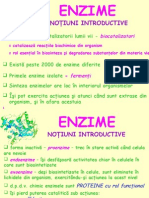 Enzime 1