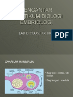 Pengantar Praktikum Biologi Reproduksi-Pediatri