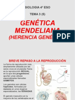 Genética Mendeliana 4ºESO