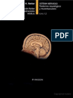 Sistema Nervioso - Netter