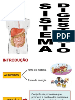 SISTEMA DIGESTORIO.ppt