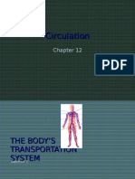 12-1 the Body's Transportation System Web