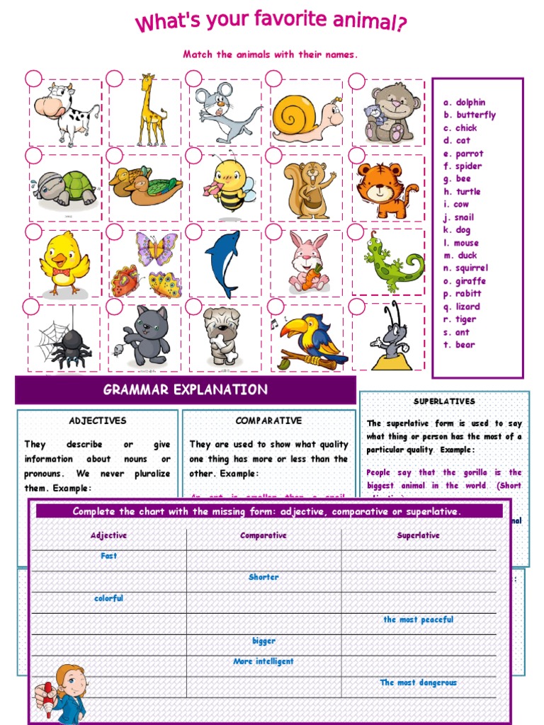 Animal Names and Adjective Usage Guide | PDF | Language Arts & Discipline