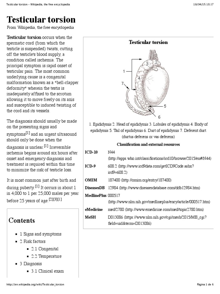Wikipedia Testicular Torsion (CHECKED) PDF Clinical Medicine