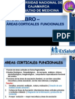 8-CerebroIII-AreasCorticalesFuncionales-2015.pdf