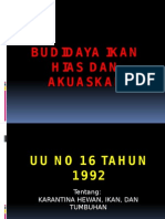 Budidaya Ikan Hias Dan Aquaskape 1